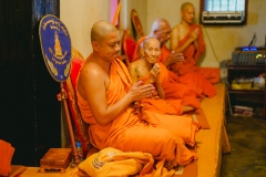 DSC06503