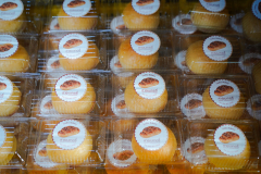 DSC08239