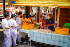 DSC08246