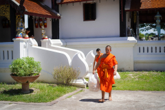 DSC04006
