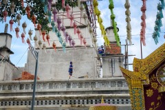 IMG_3600