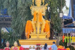 IMG_5981