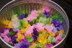 DSC09709