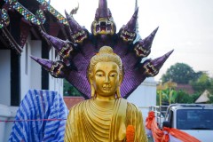 DSC08687
