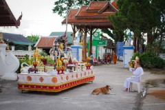 DSC07793