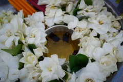 DSC07802