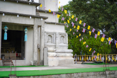 DSC02164