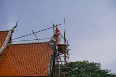 DSC08050