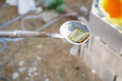 DSC02960