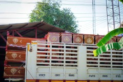 DSC02939