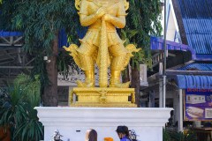 DSC06905