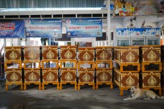 DSC07107