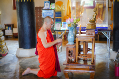 DSC07073