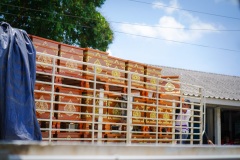 DSC08677