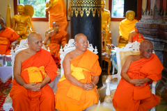 DSC03531