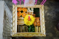 DSC03161