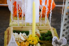 DSC03163