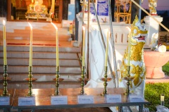DSC07311