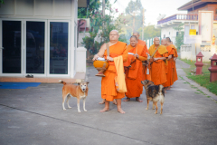 DSC03441