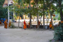 DSC00682