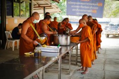 DSC06311