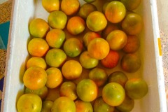 IMG_20211226_111158