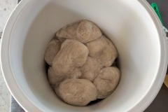 IMG20211228110447