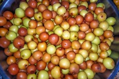 IMG20211229065132
