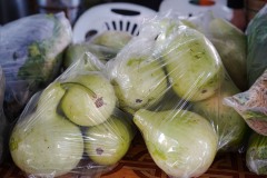 DSC01006