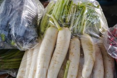 DSC05525