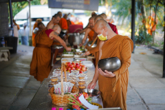 DSC02630