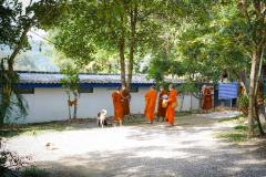 DSC04145