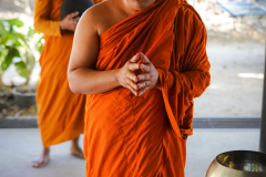 DSC05945
