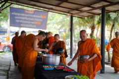 DSC01181