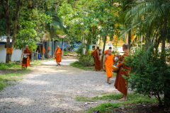 DSC01216