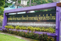 DSC07747
