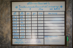 DSC08005