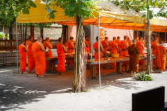 DSC08022