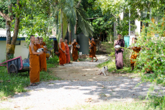 DSC02017