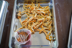 DSC02127