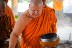 DSC04393