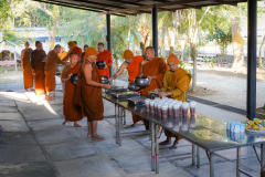 DSC04653