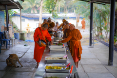 DSC06211