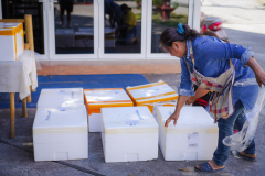 DSC07461