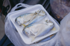 DSC08028
