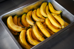 DSC08690