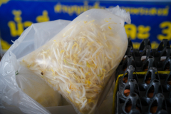 DSC00005