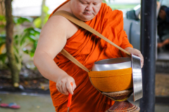 DSC06185