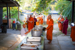 DSC00464