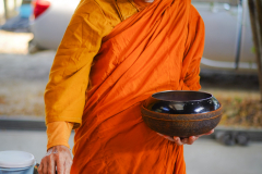 DSC00848